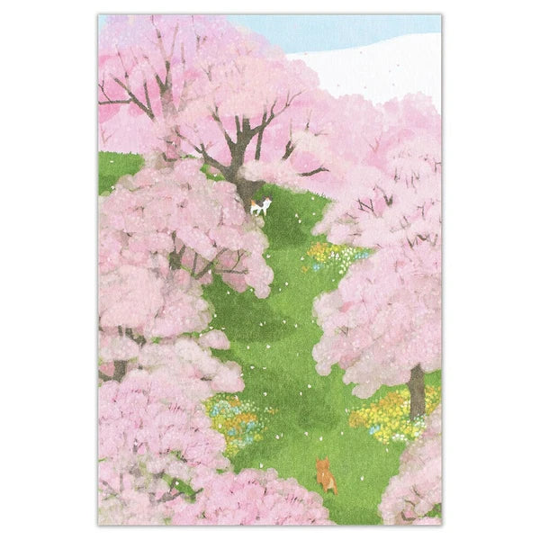 Cherry Blossom Grove - Postcard