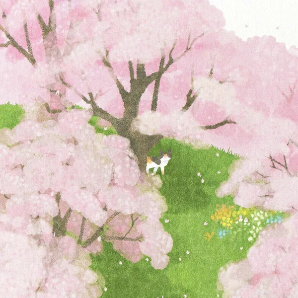 Cherry Blossom Grove - Postcard