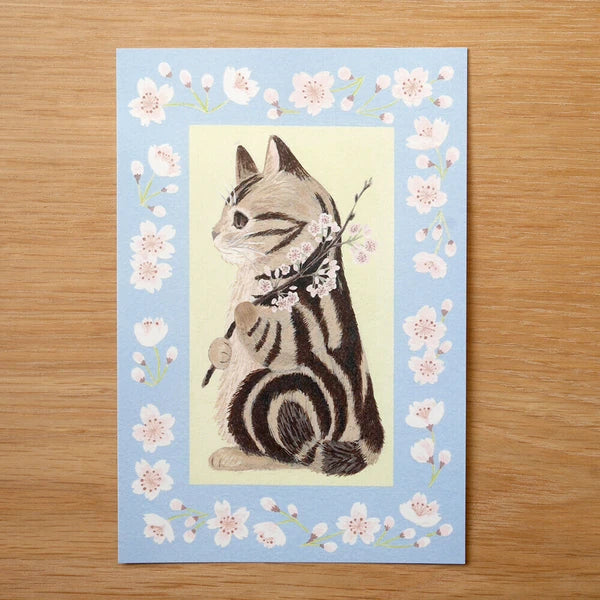 Cherry Blossom Amesho - Postcard