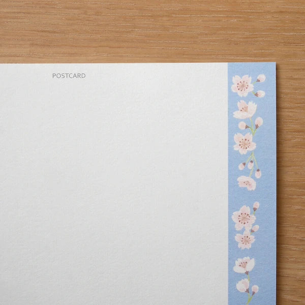Cherry Blossom Amesho - Postcard