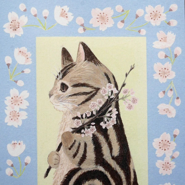 Cherry Blossom Amesho - Postcard