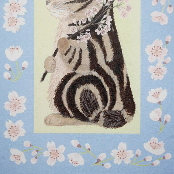 Cherry Blossom Amesho - Postcard