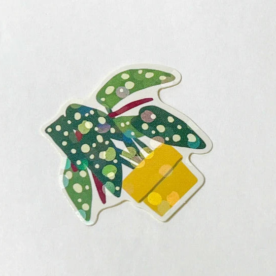 Green Market - Sticker Box