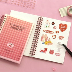 Reusable Sticker Book