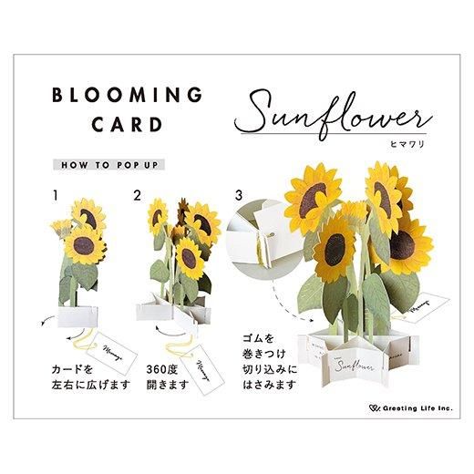 Sunflower - 3D Greeting Card