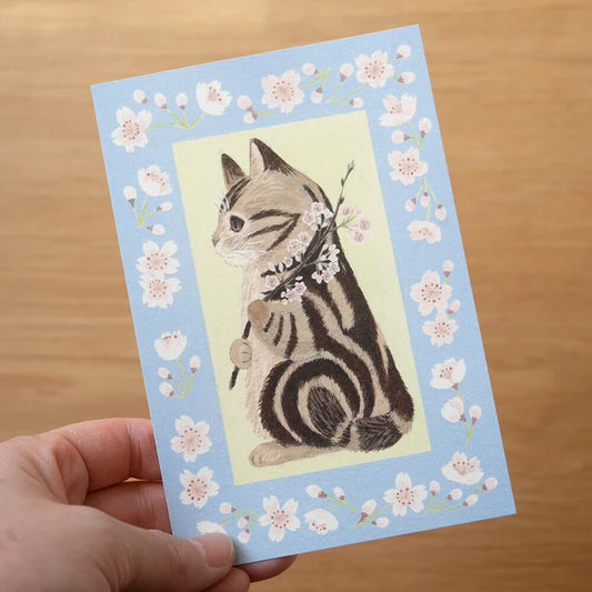 Cherry Blossom Amesho - Postcard