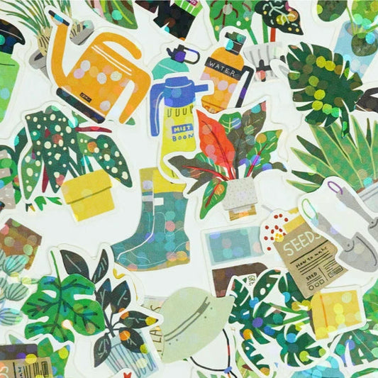 Green Market - Sticker Box