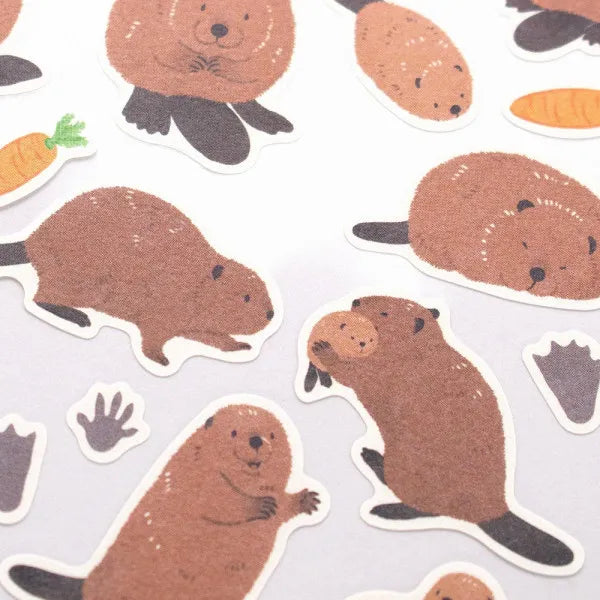 Beaver - ZOOm in Animal Sticker Sheet