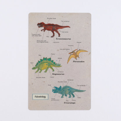 Paleontology - Study Holic Clear Bookmark