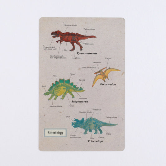 Paleontology - Study Holic Clear Bookmark
