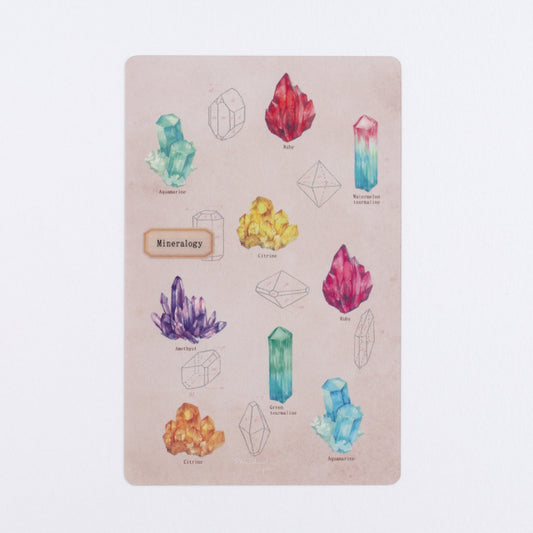 Mineralogy - Study Holic Clear Bookmark