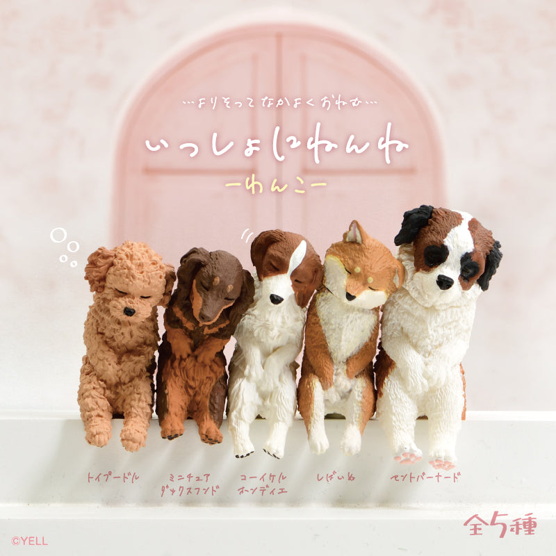 Sleepy Puppy - Blind Box