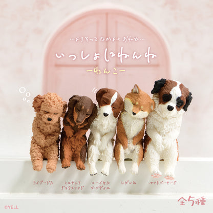 Sleepy Puppy - Blind Box