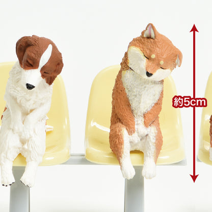 Sleepy Puppy - Blind Box