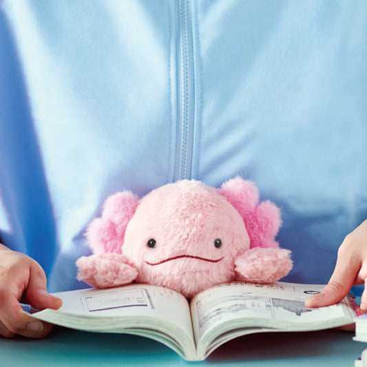 Axolotl - Posture Pals